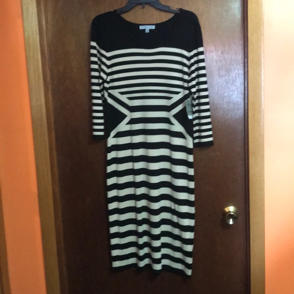 NWT! Danny and Nicole Sweater Dress